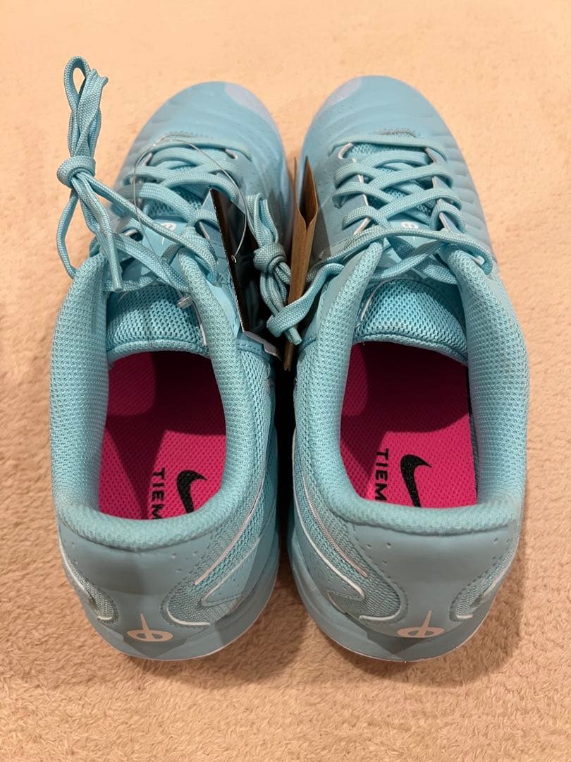 レジェンド 10 アカデミー IC