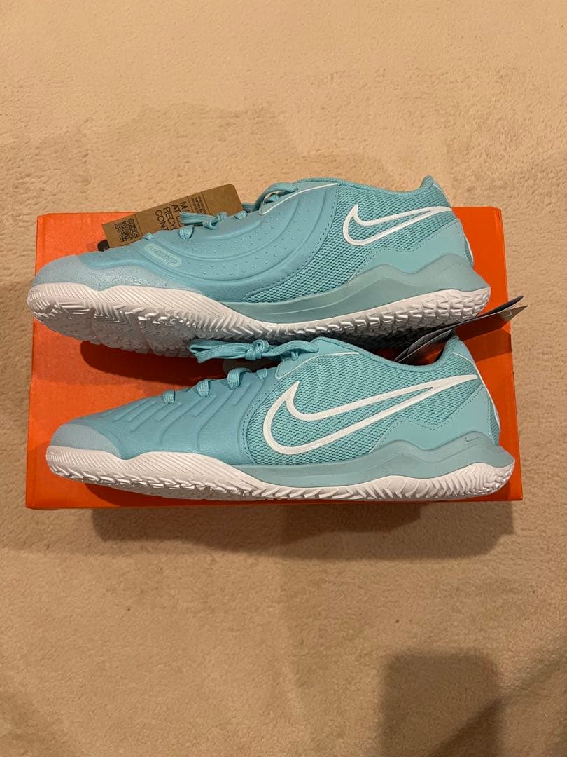 レジェンド 10 アカデミー IC