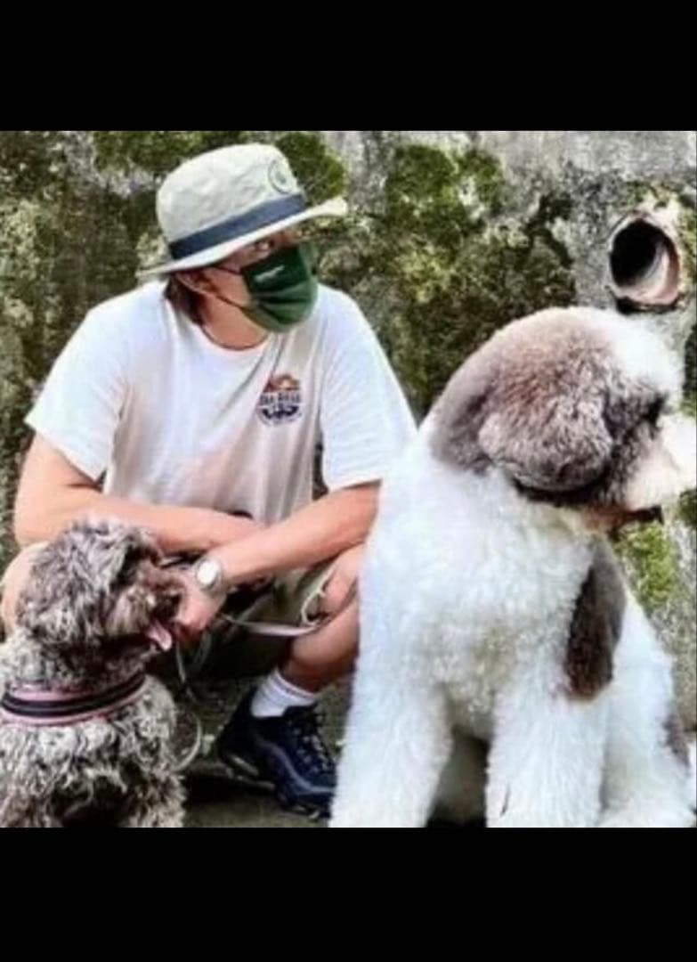 massesマシス ハット　キムタク着用　木村拓哉