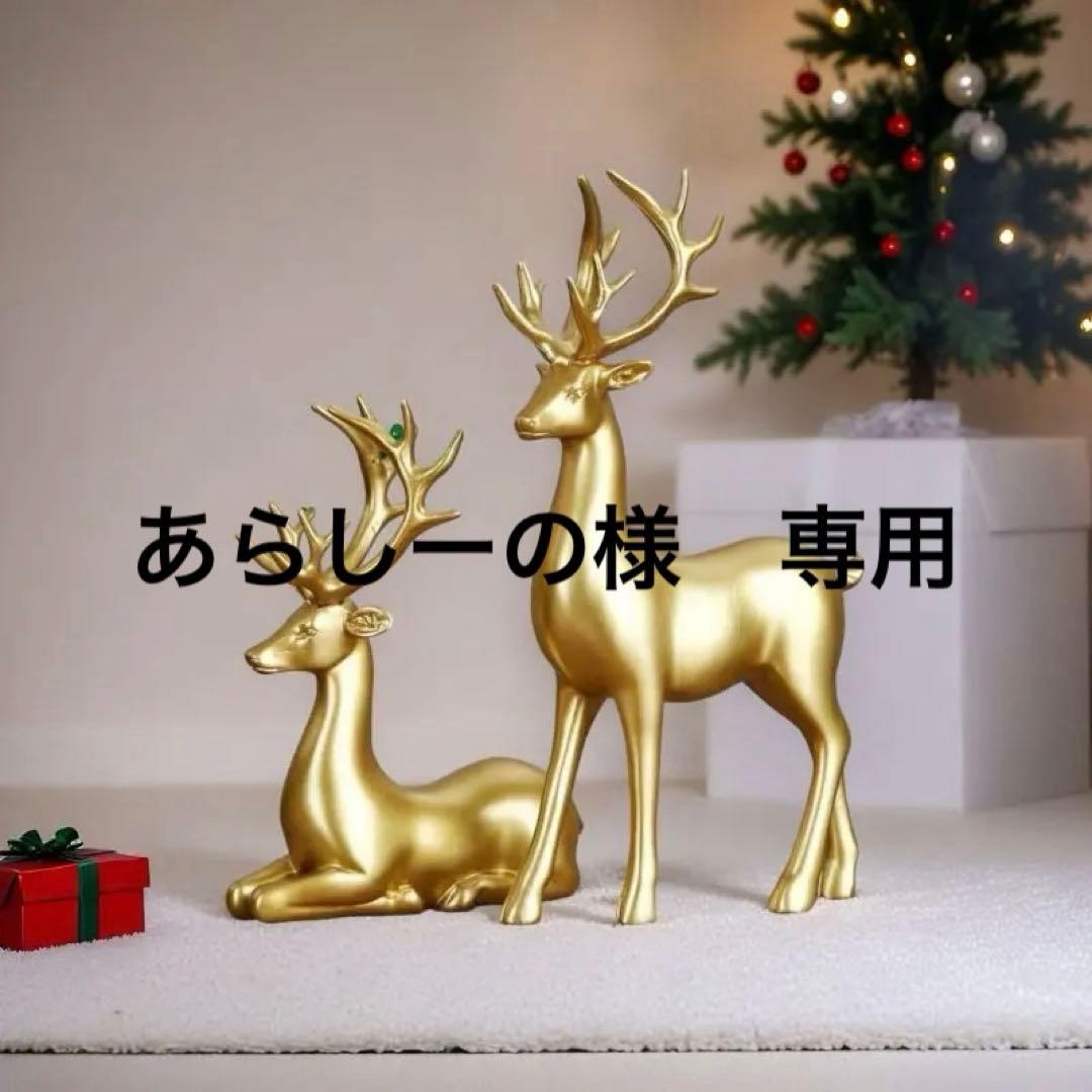 あらしーの　2点