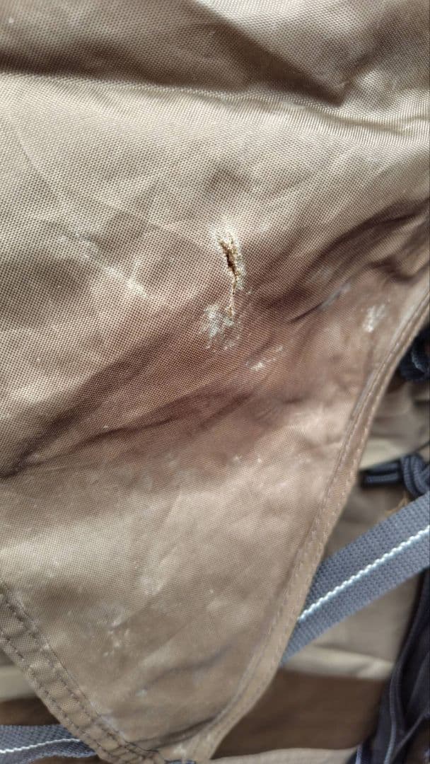 オガワ　アポロン　テント