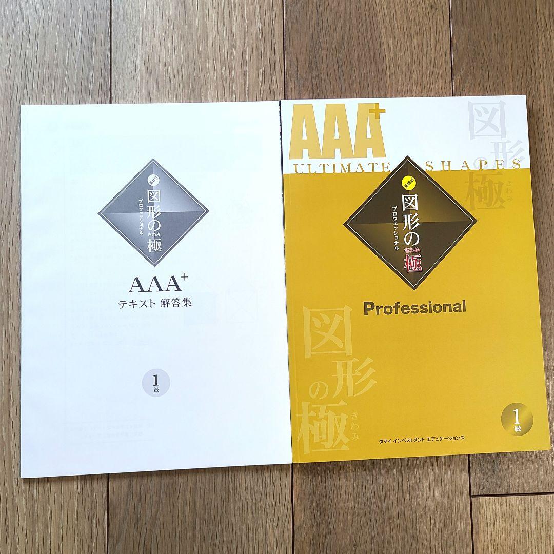 AAA + 図形の極み ☆ 1級　新品未使用