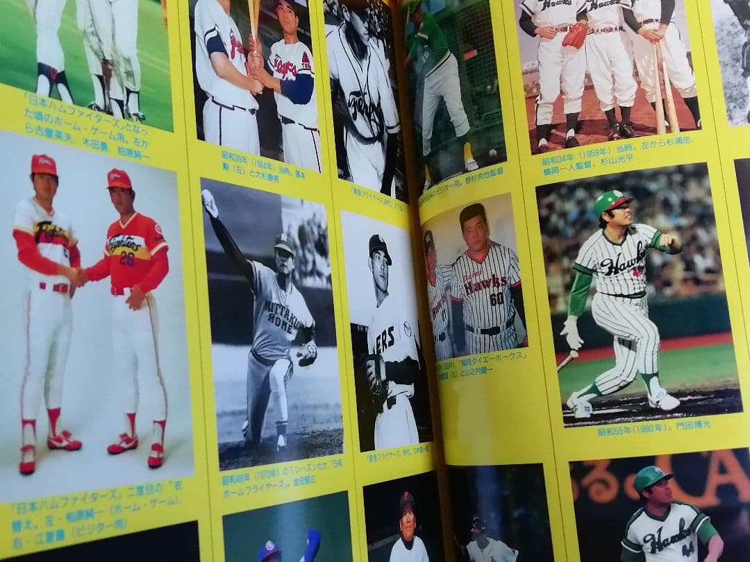 日本プロ野球60年史　 ベースボール・マガジン社