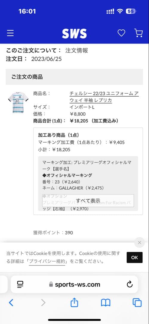 正規品 チェルシーFC ギャラガー 23番 ユニフォーム Lサイズ