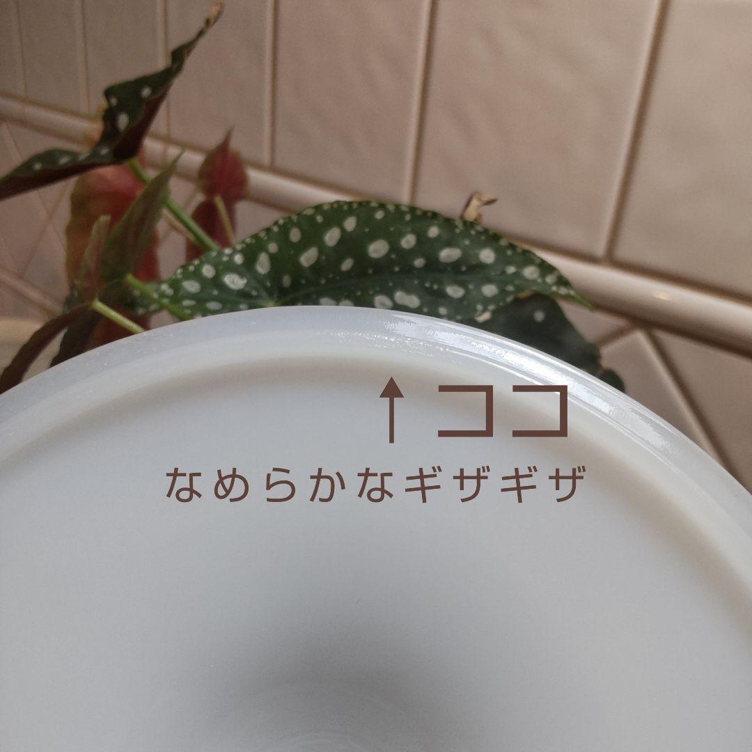 【おまけ付】ファイヤーキング　グリースジャーアップル　アンティーク