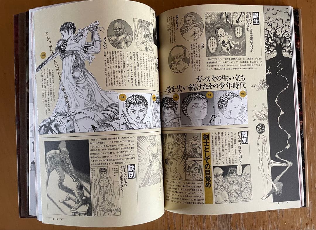 【白泉社】画集 ベルセルク(三浦建太郎)