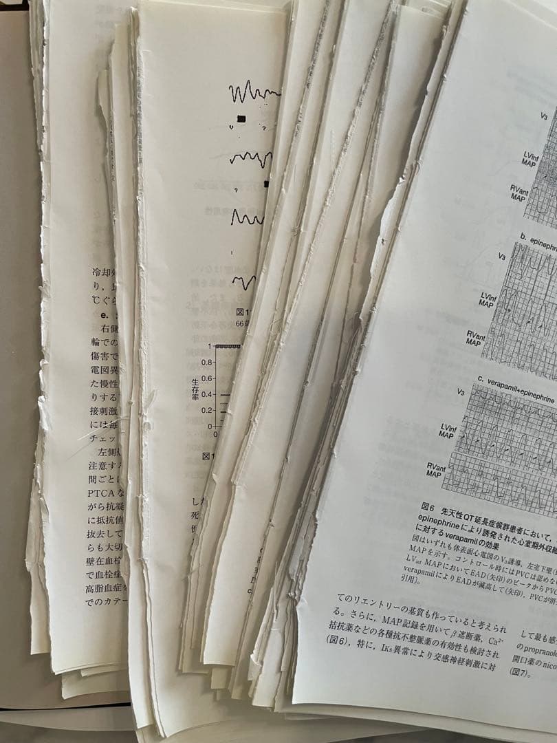 あるぱか　EPS 第2版＋カンファレンスで学ぶ 心臓電気生理のすべて