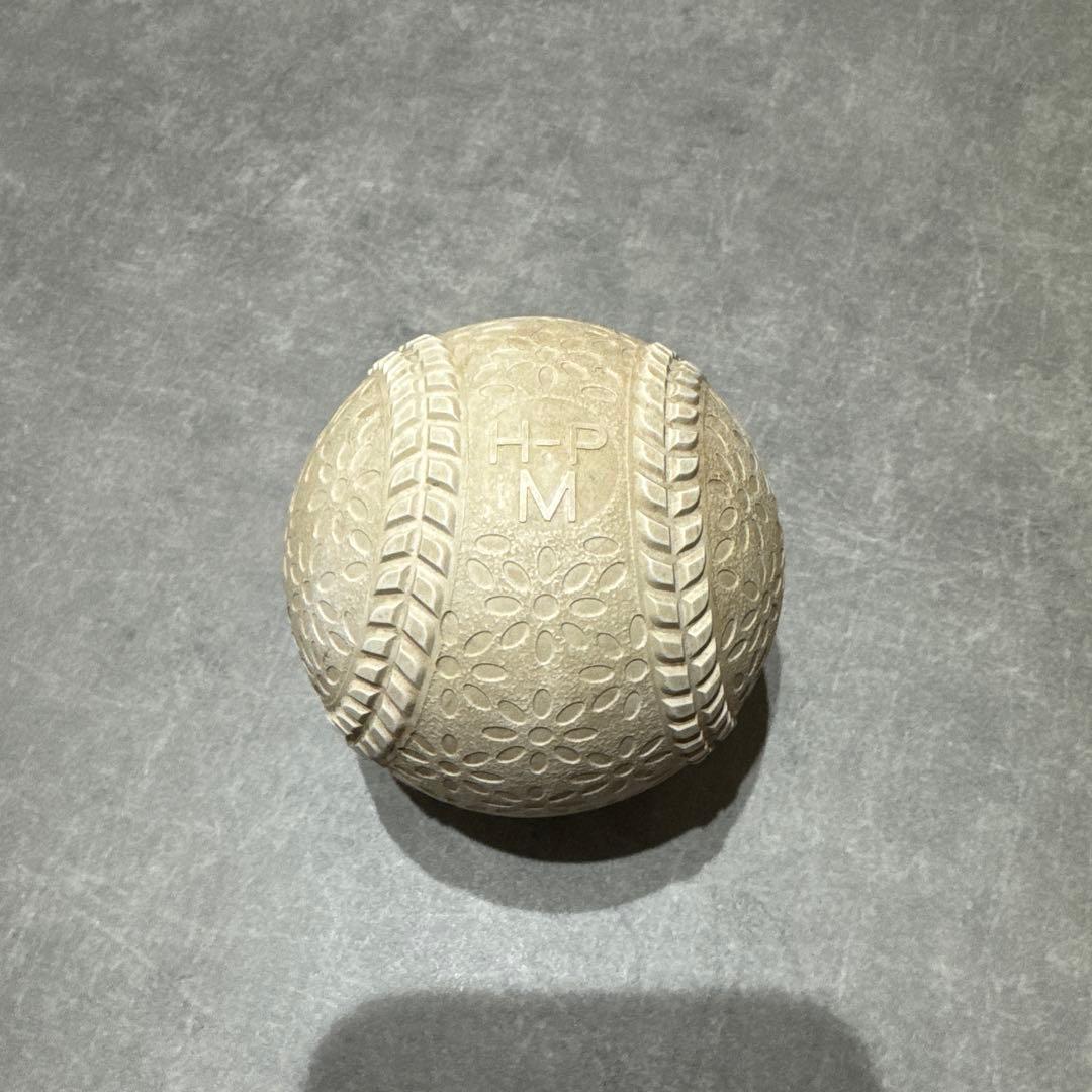 naigai TECHNICAL PITCH Mサイズ テクニカルピッチ