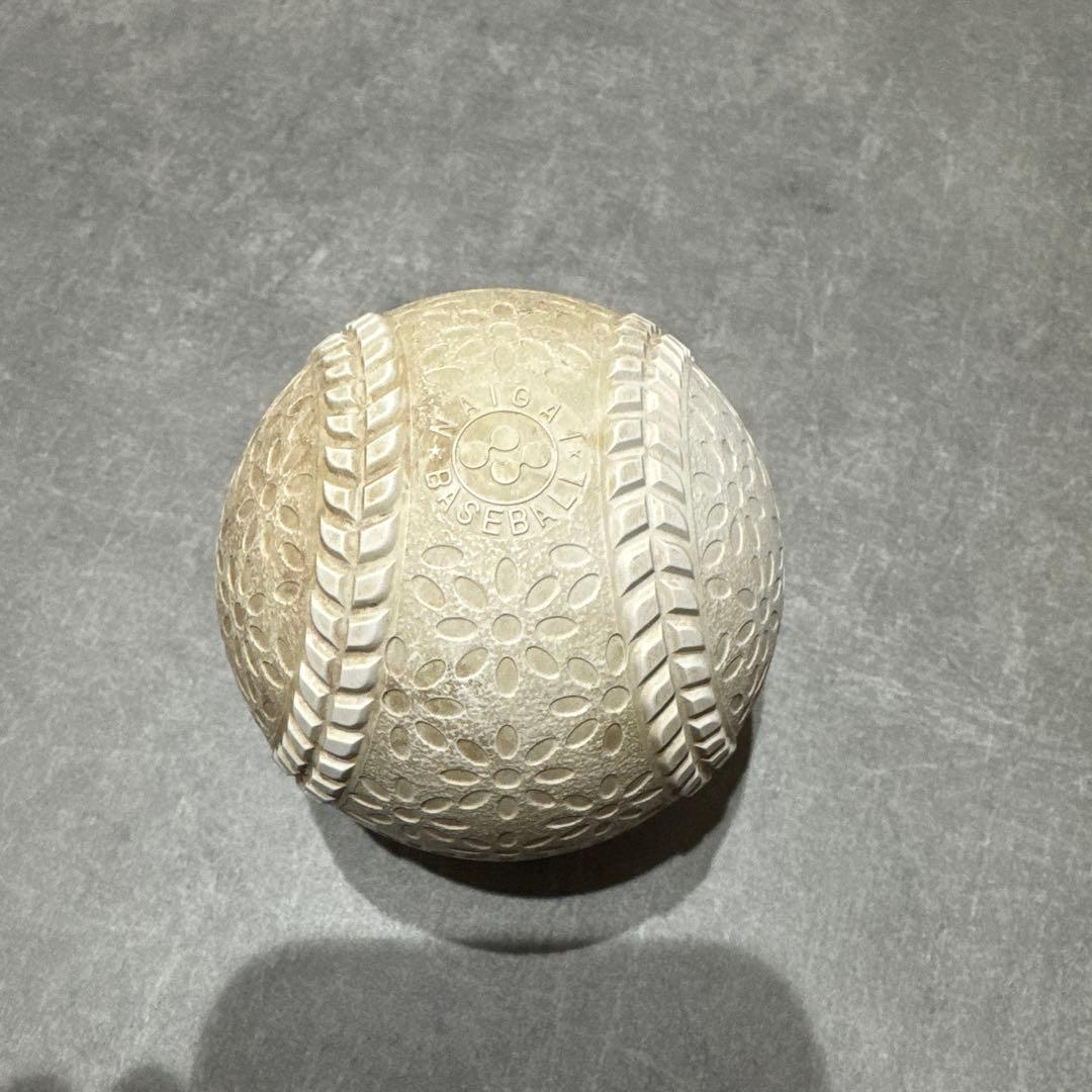 naigai TECHNICAL PITCH Mサイズ テクニカルピッチ