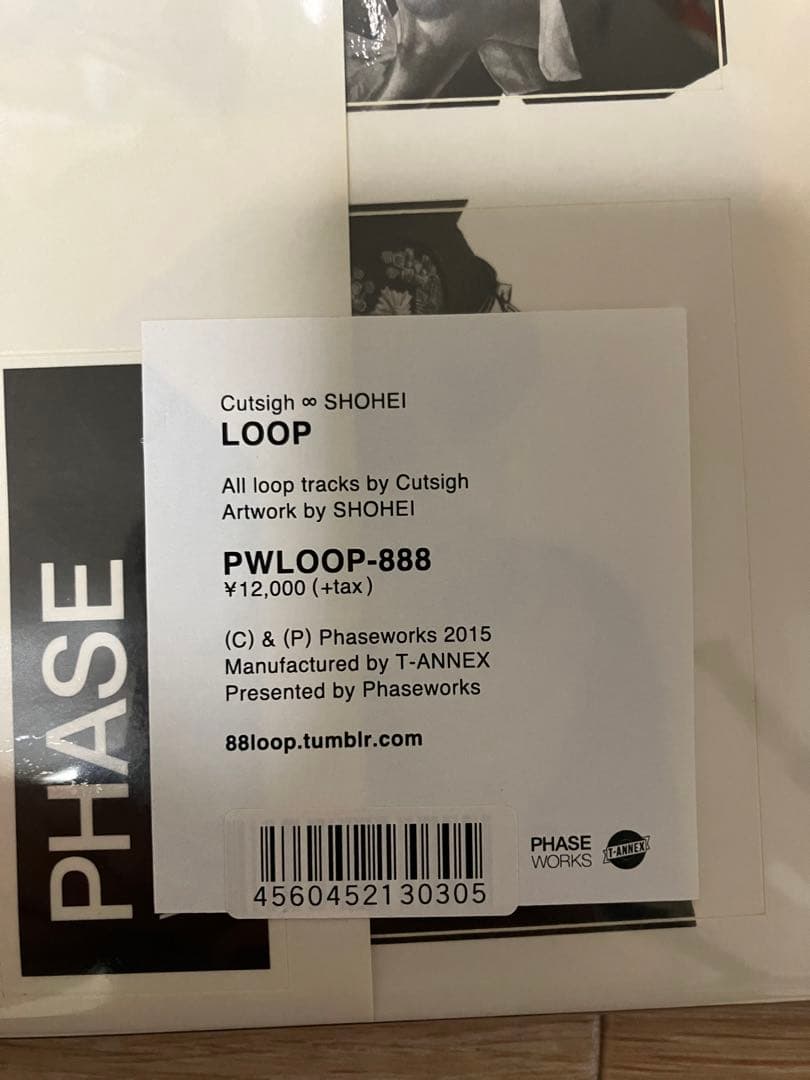 大友昇平 SHOHEI OTOMO LOOP 12インチレコード