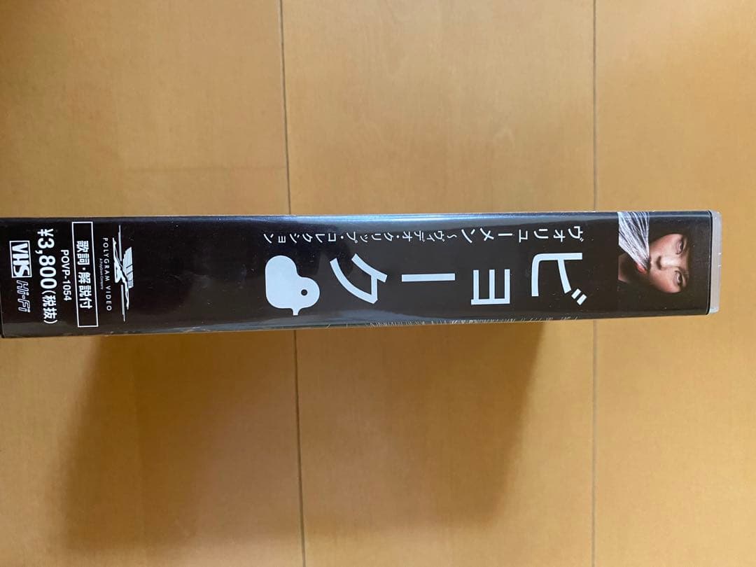 ビョーク　ミュージックビデオ　ヴォリューメン　ほぼ未使用