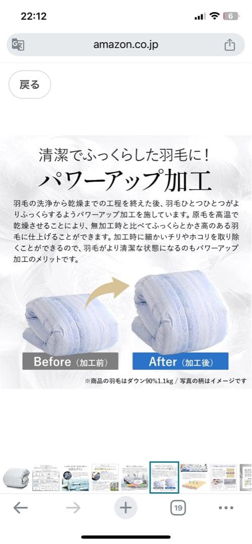 Showa Nishikawa 昭和西川ダウン掛け布団 グレー