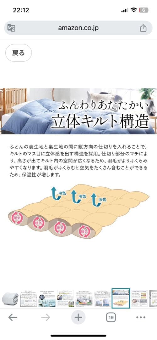 Showa Nishikawa 昭和西川ダウン掛け布団 グレー