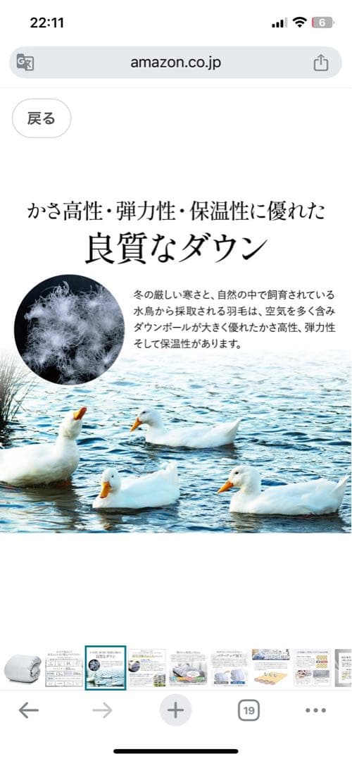 Showa Nishikawa 昭和西川ダウン掛け布団 グレー