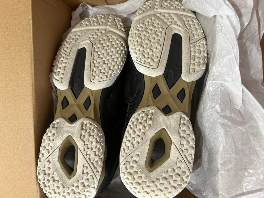 テニスシューズ ウエーブエクシードライト 2 OC