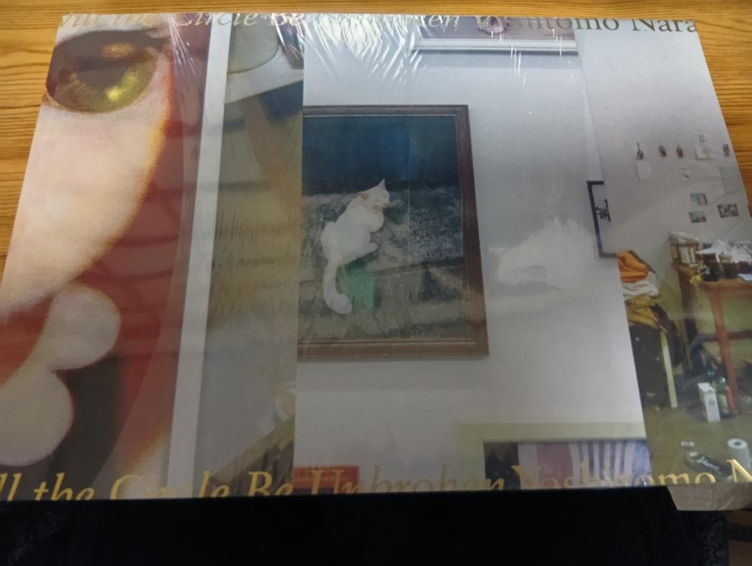 奈良美智　Will the Circle Be Unbroken 限定　写真集