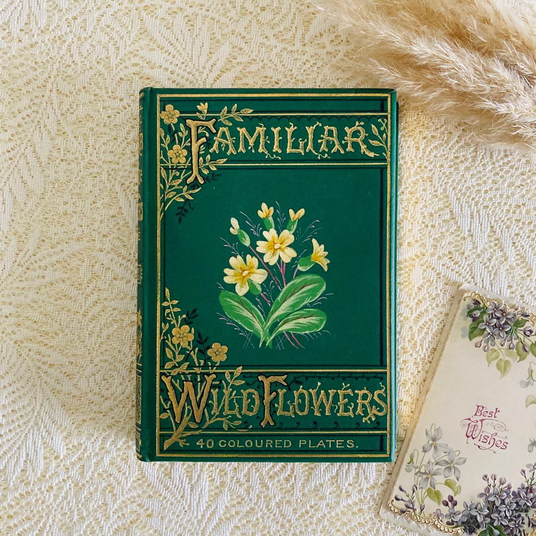 希少　Familiar Wild Flowers　アンティーク植物図鑑　洋書古書