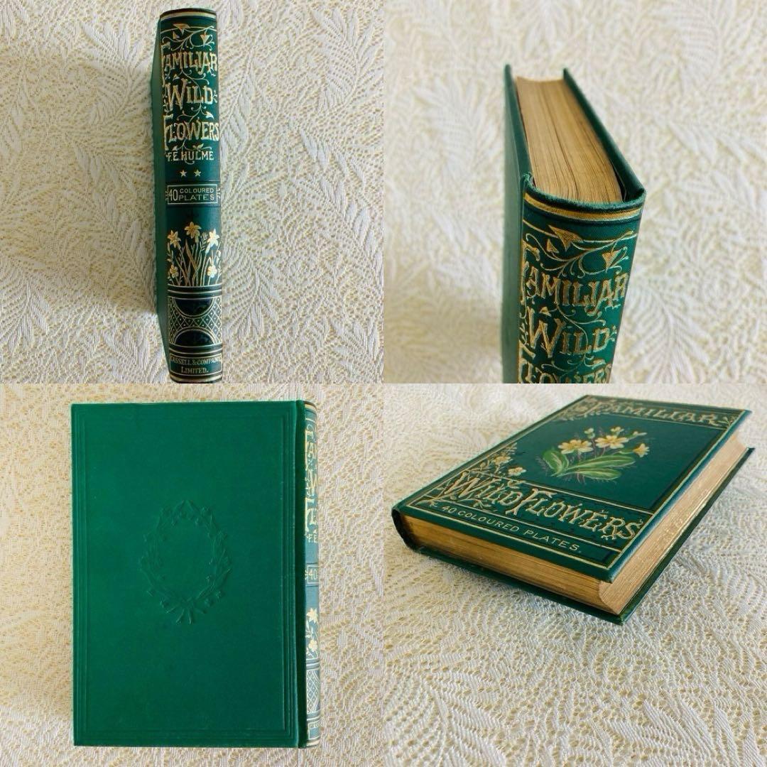 希少　Familiar Wild Flowers　アンティーク植物図鑑　洋書古書