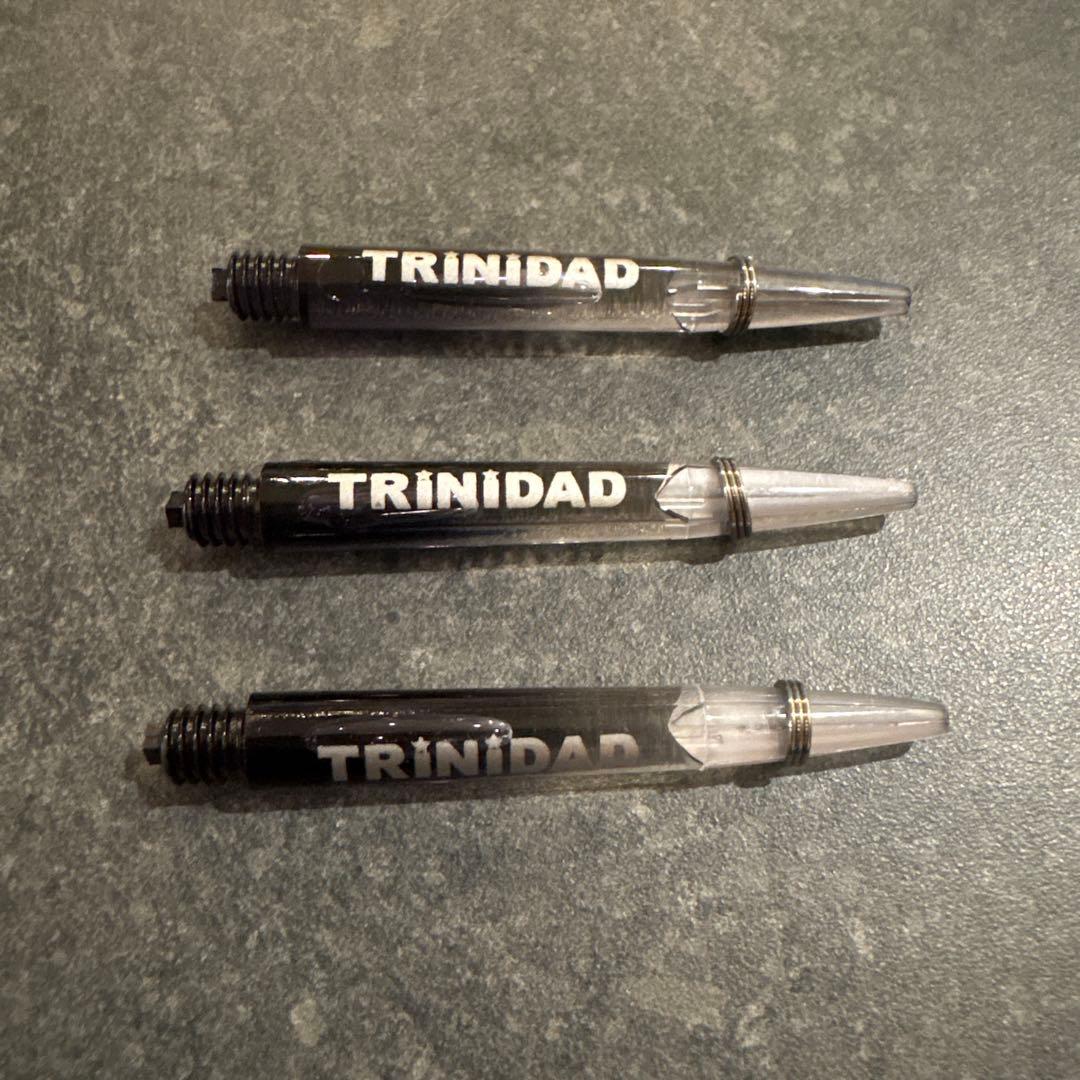 リカルドレイジー エスダーツ 限定モデル ダーツ 浅田斉吾 松吉輝宗