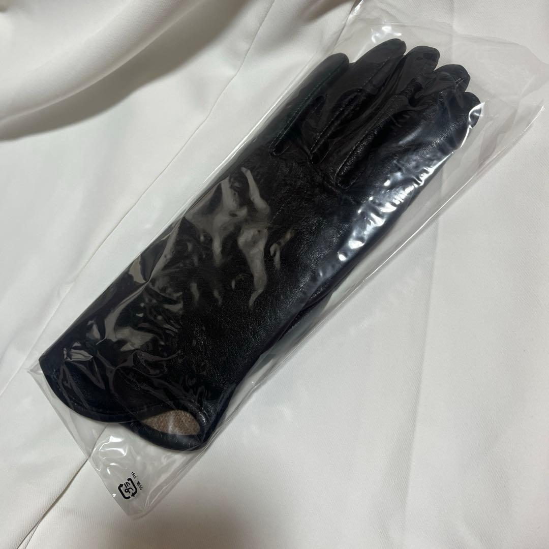 マメクロゴウチ グローブ