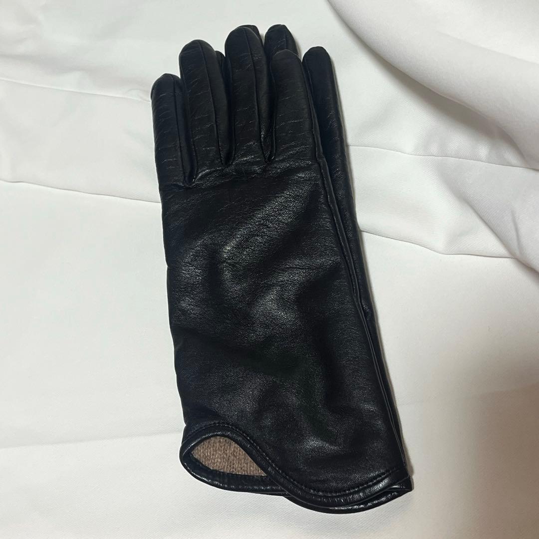 マメクロゴウチ グローブ