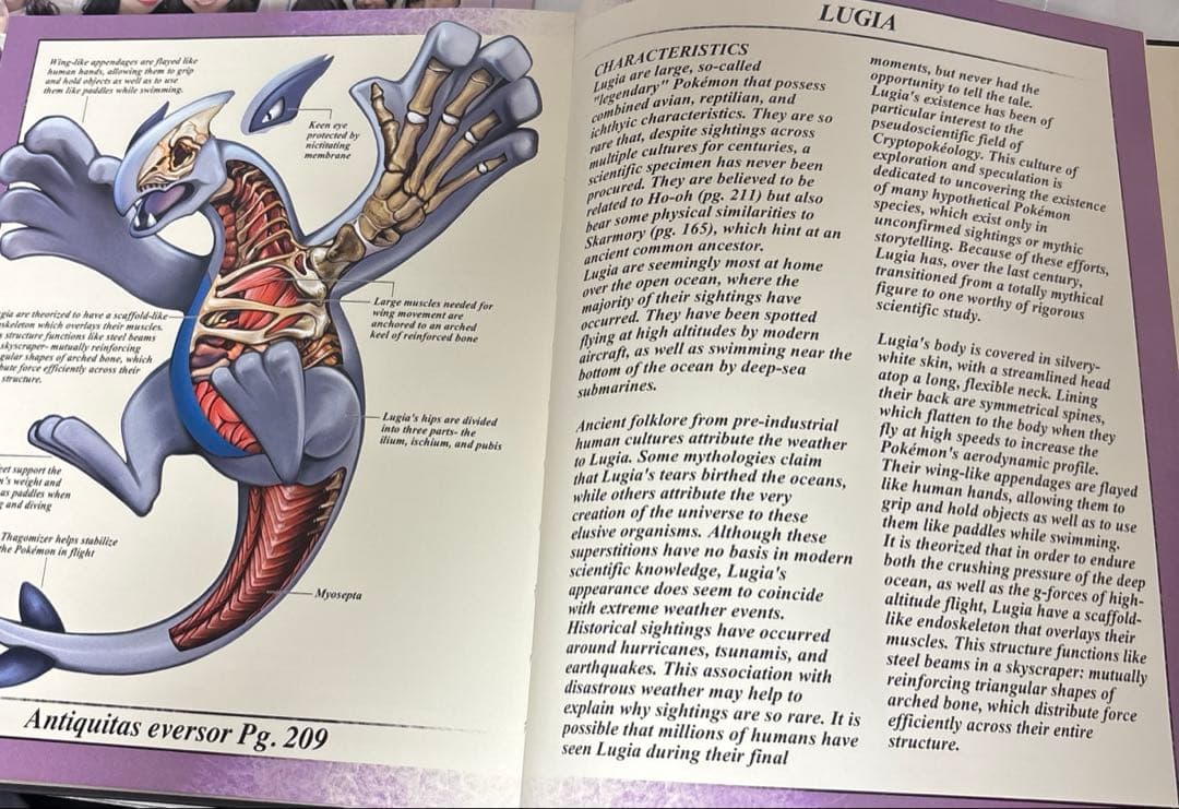 Pokenatomy（ポケナトミー）アートブック