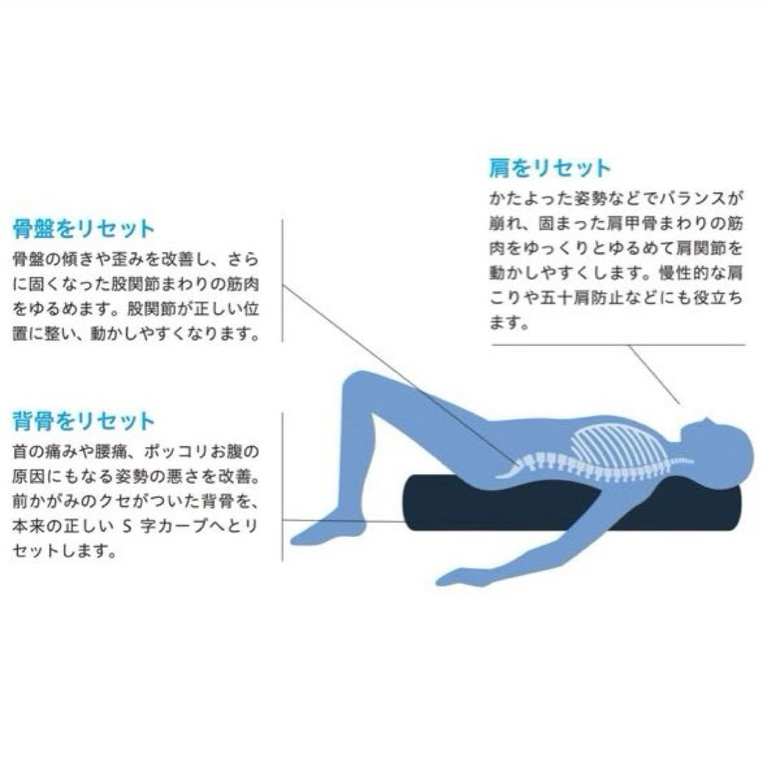 StretchPole ストレッチポールEX 98cm 株式会社LPN