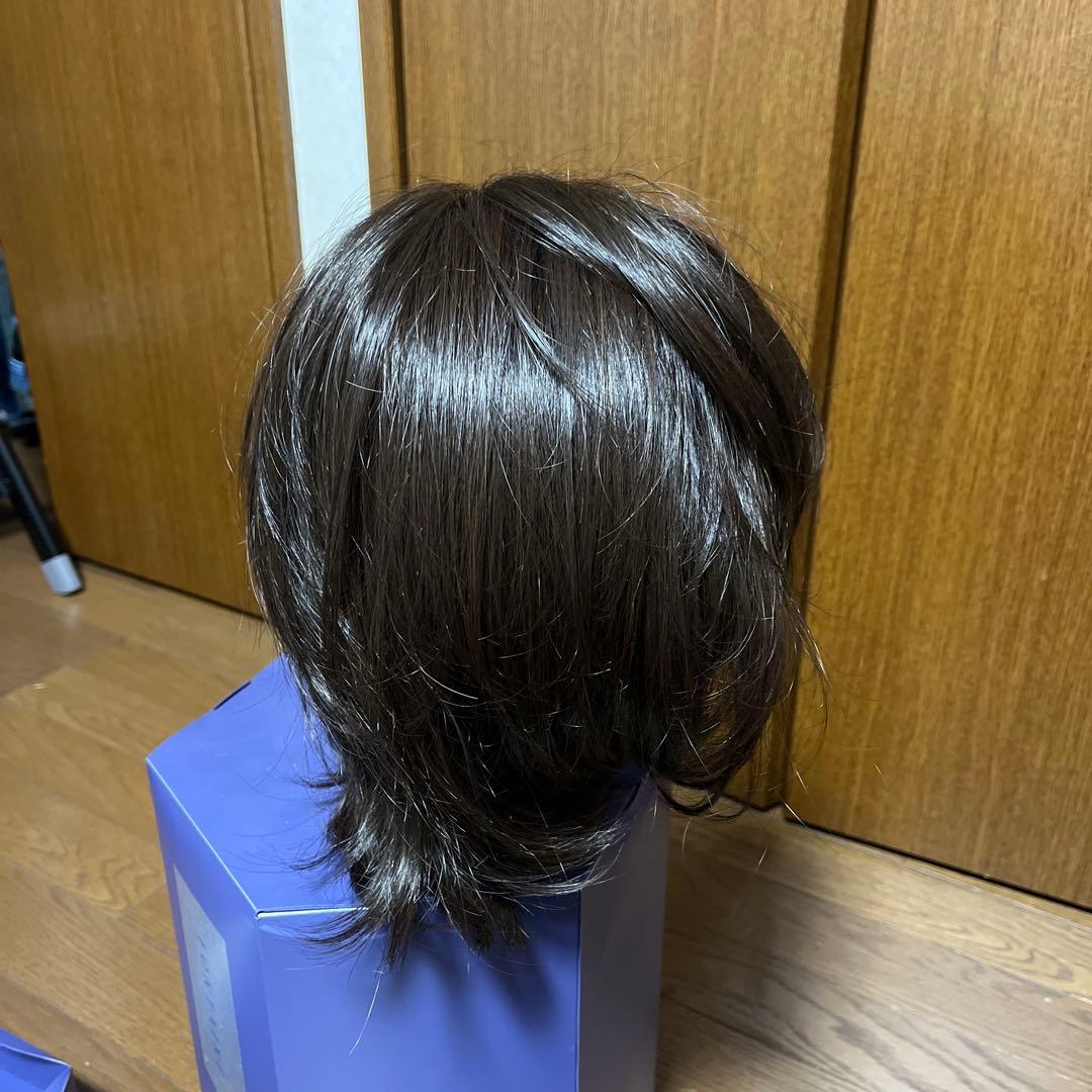FONTANE ケアウィッグ ダークブラウン FS03M M35
