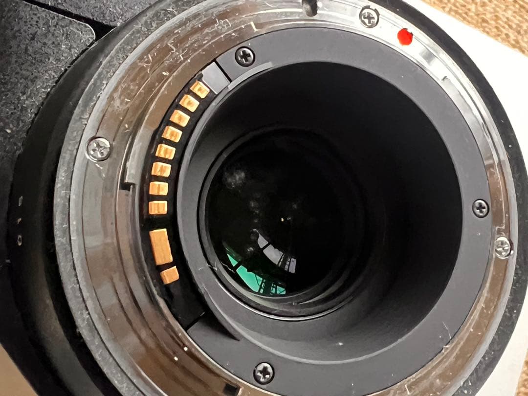 SIGMA 150-600mm f/5-6.3 DG ズームレンズ