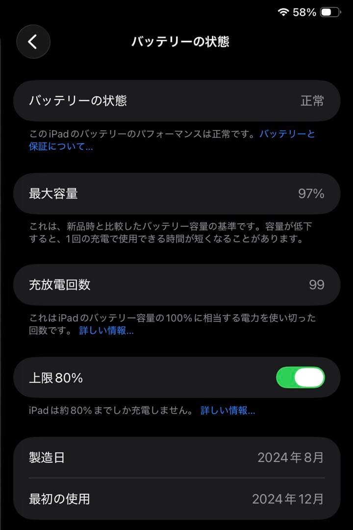 iPad mini (A17 Pro) 128GB Wi-Fi ブルー