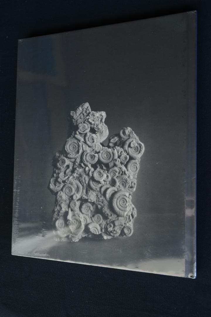 【The Day After ：Hiroshi Sugimoto】杉本博司