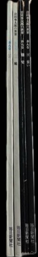 毎日グラフデラックス別冊　岩田専太郎の世界　おんな　色は旬へと　瞳　髪　装い