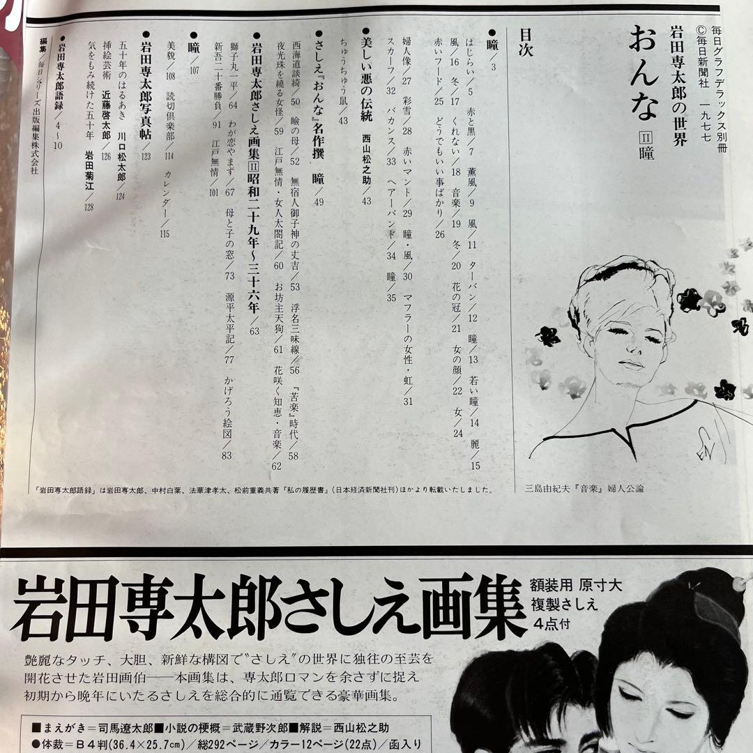 毎日グラフデラックス別冊　岩田専太郎の世界　おんな　色は旬へと　瞳　髪　装い