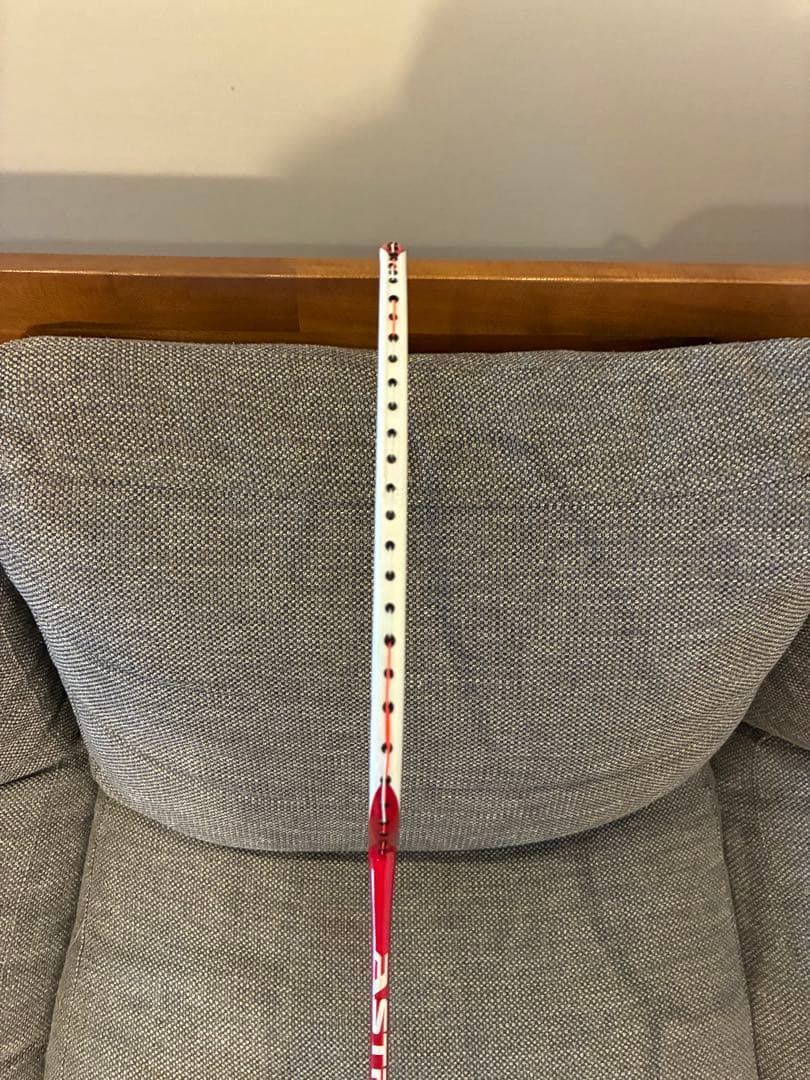 【ほぼ新品】【廃盤品】アストロクス88S 4UG5 限定カラー