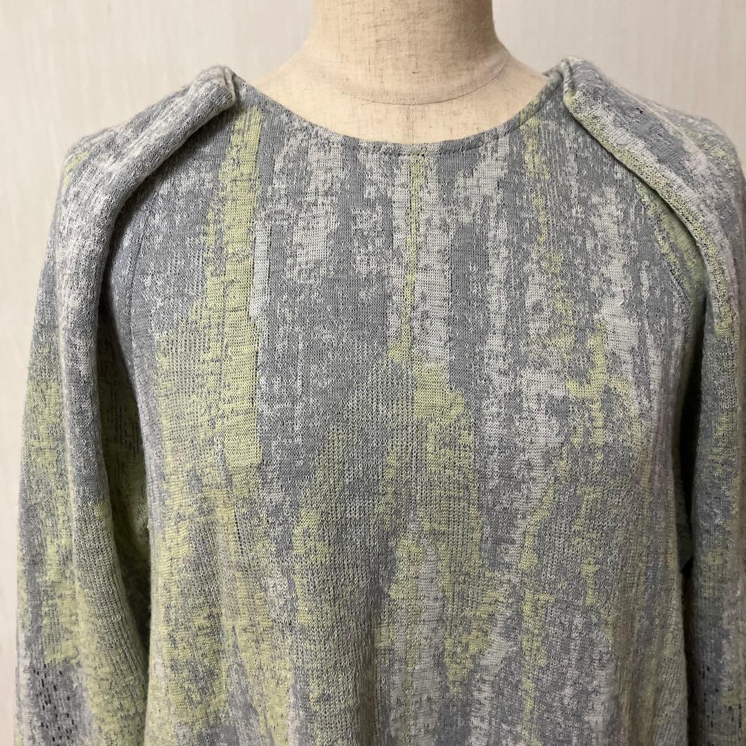 ヒロココシノチエニック