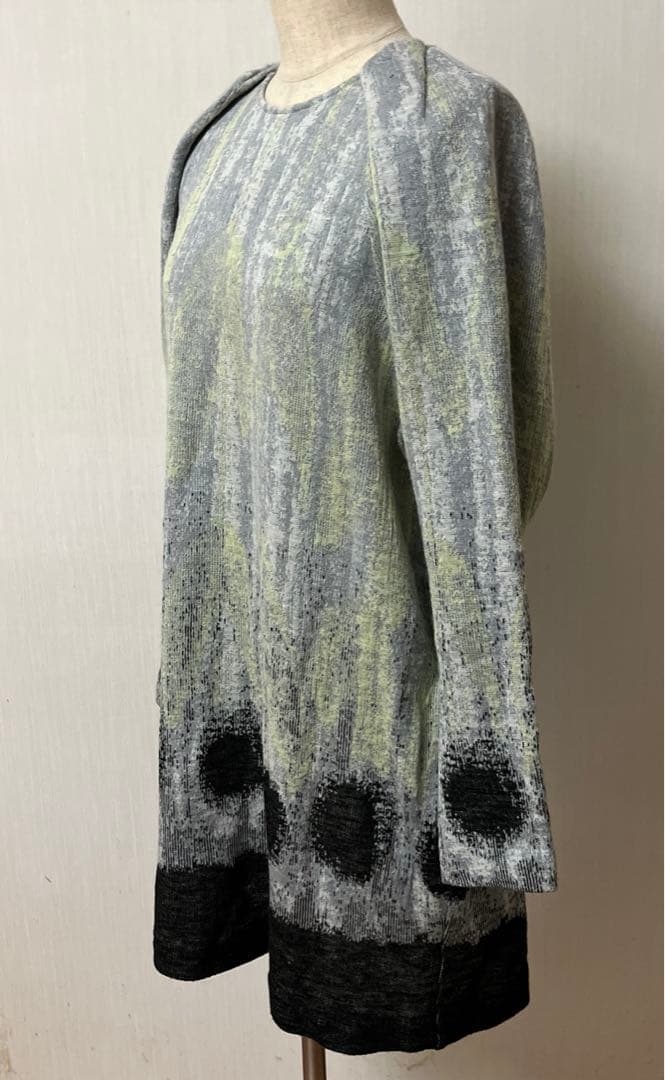 ヒロココシノチエニック