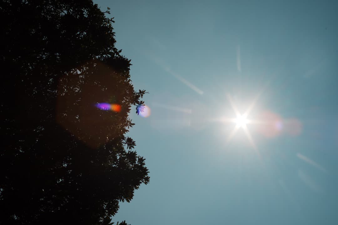 【和製貴婦人】動作◎ MC-ROKKOR PG 50mm F1.4 709