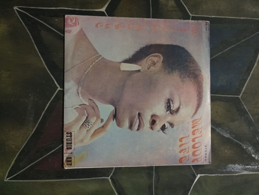 Cecilia Mecool 12インチレコード