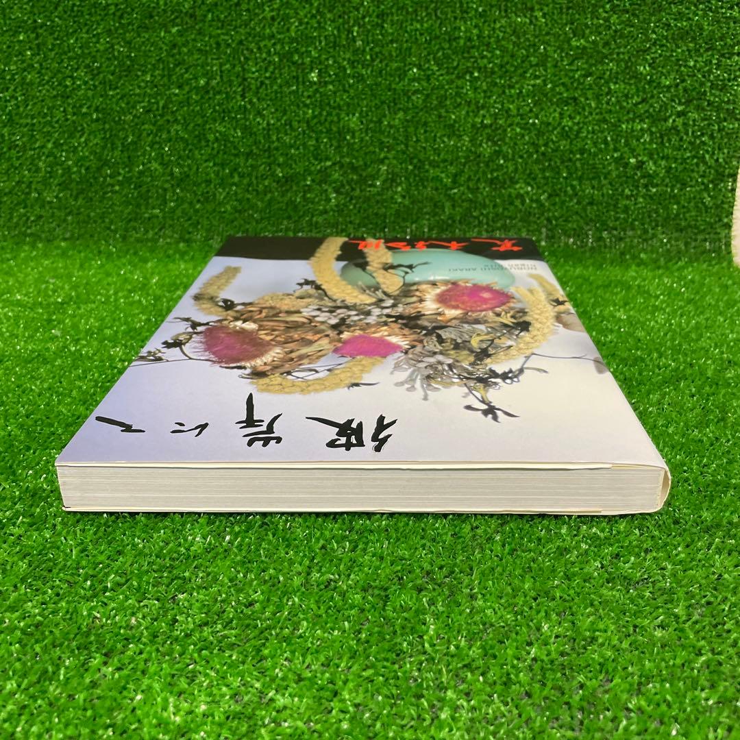 【早い者勝ち】希少　彼岸にて　荒木経惟　アラーキー　美品