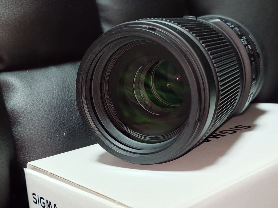 SIGMA 100-400mm F5-6.3 DG DN OS Eマウント