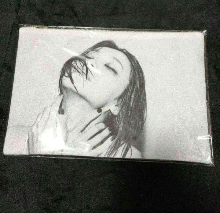 LiSA CD5枚 クリアファイル ポーチ