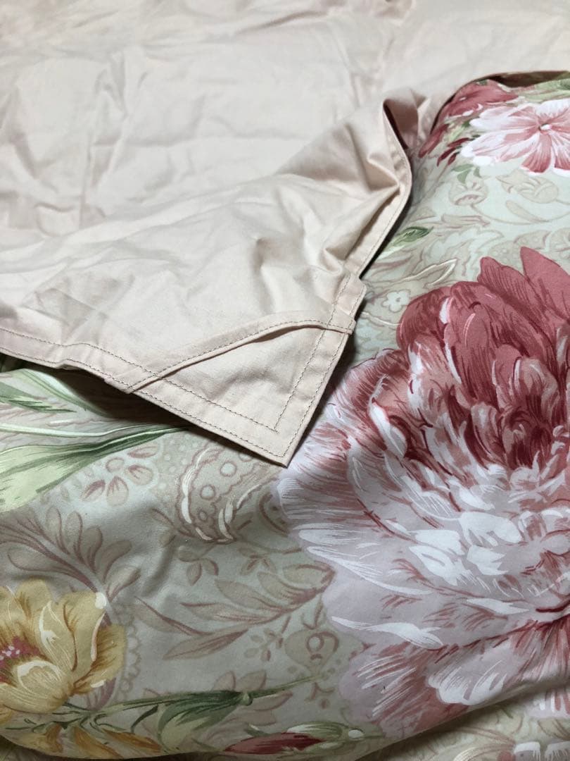 最終価格‼️早い者勝ち‼️シルバーダッグダウン羽毛掛け布団カバー付き(未使用)