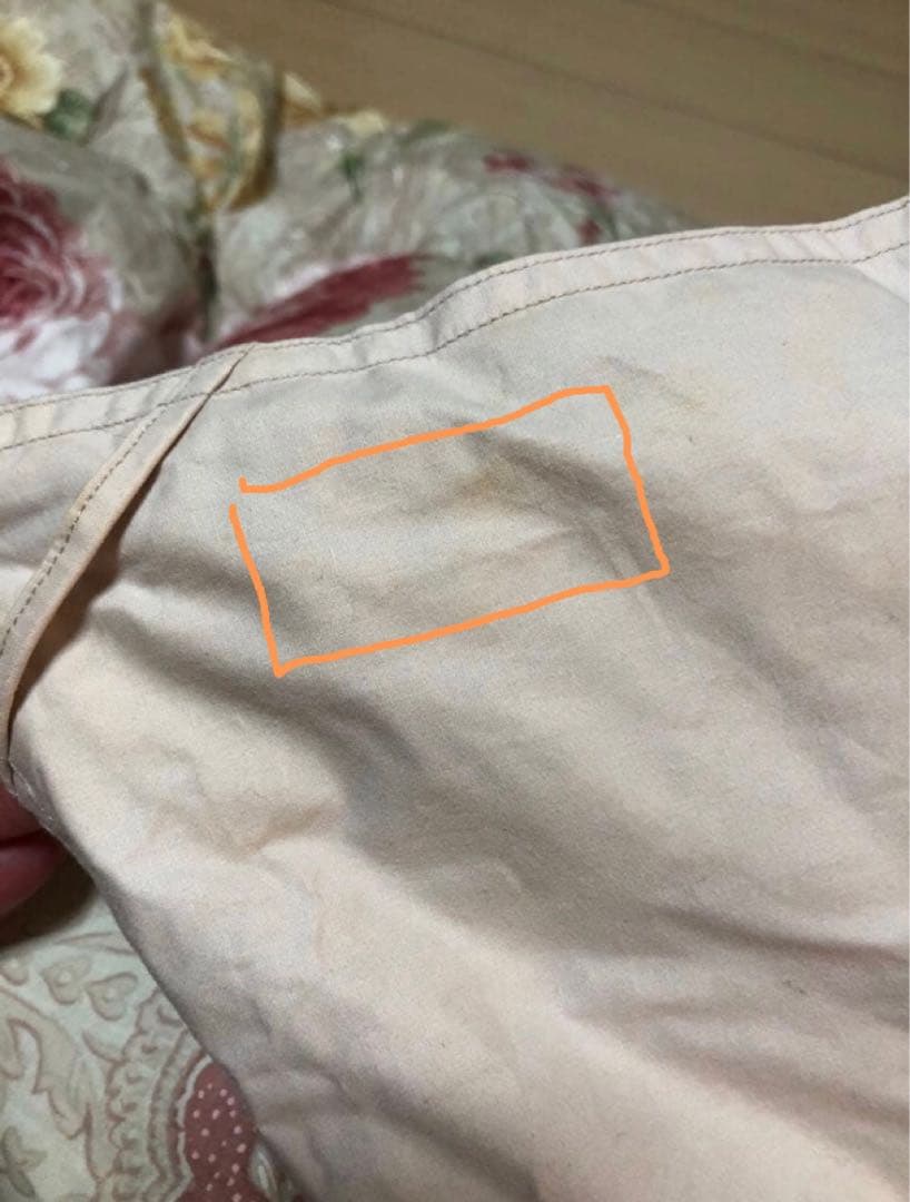 最終価格‼️早い者勝ち‼️シルバーダッグダウン羽毛掛け布団カバー付き(未使用)