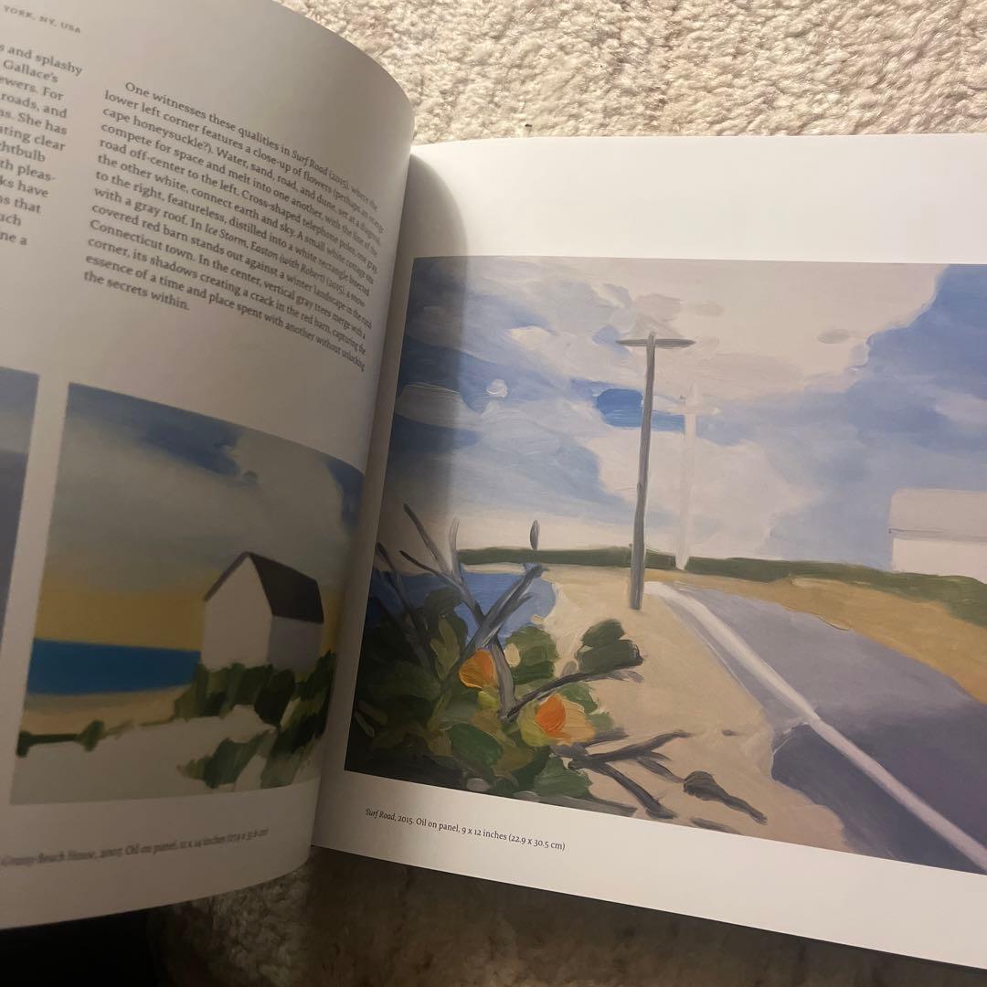 洋書 Landscape Painting Now