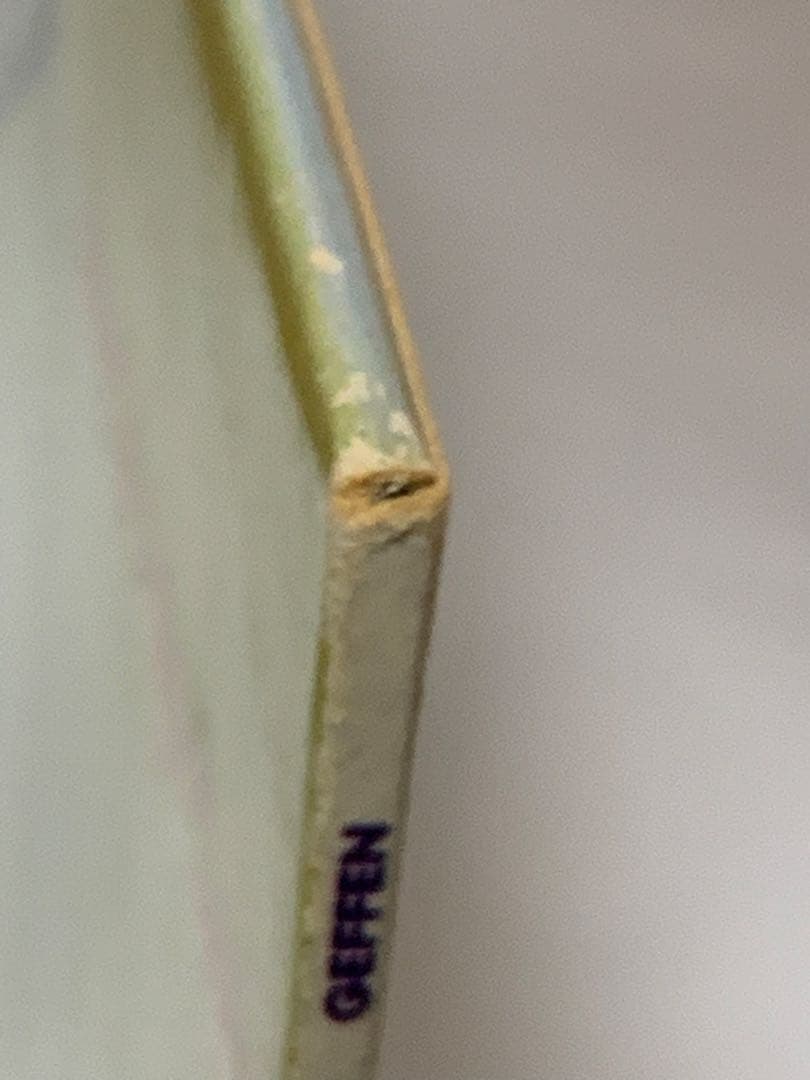 1992年　Nirvana Incesticide レコード