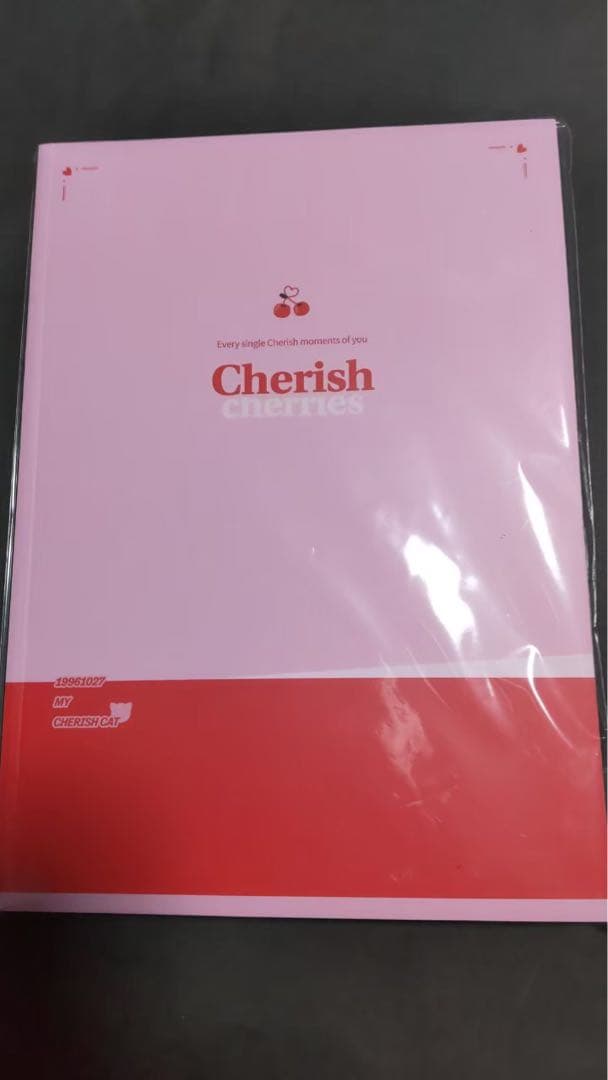 キムウソク　グッズ　まとめ売り　写真集　マスター　スローガン　シーグリ