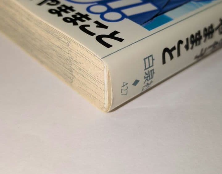 【希少】プロフェッショナル スチュワーです!! / 全1巻 / レア