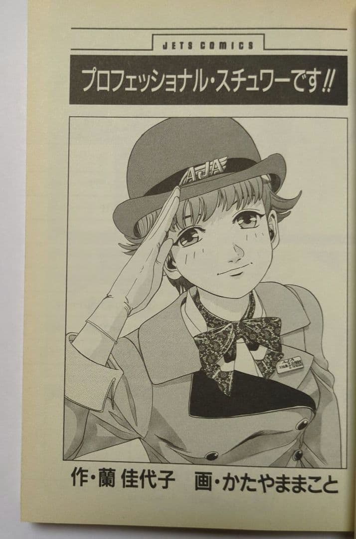 【希少】プロフェッショナル スチュワーです!! / 全1巻 / レア