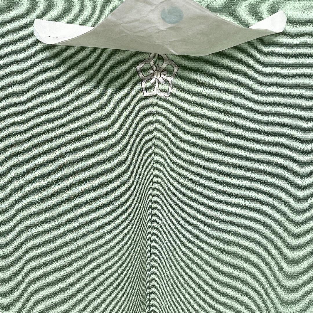 未着用　色無地　ライトグリーン　大丸タグ　パーティ　着物　115b d ms