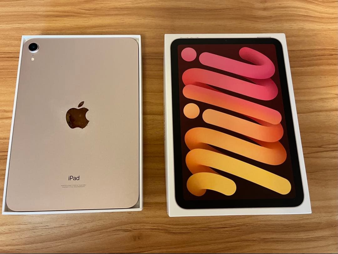Apple iPad mini ピンク 本体（第6世代）